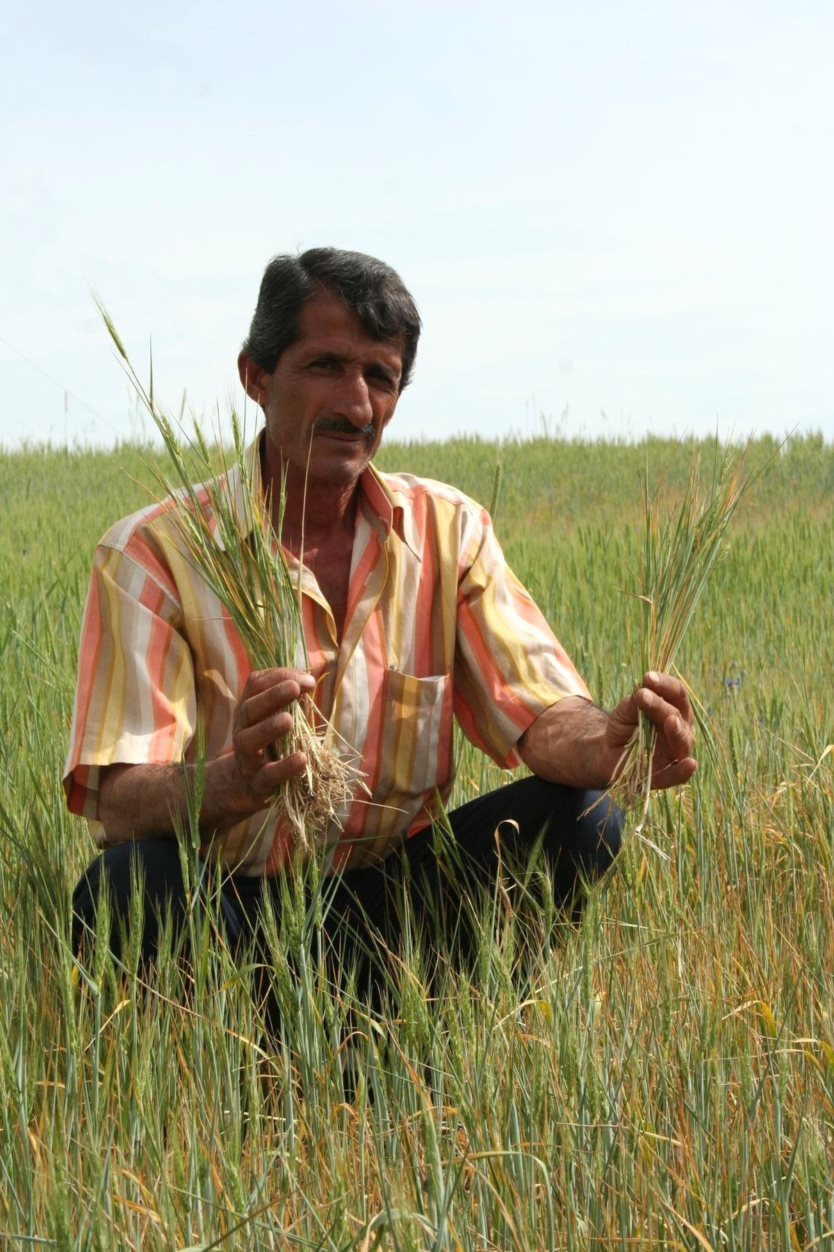 Beyşehir'de Ekinler Yanıyor