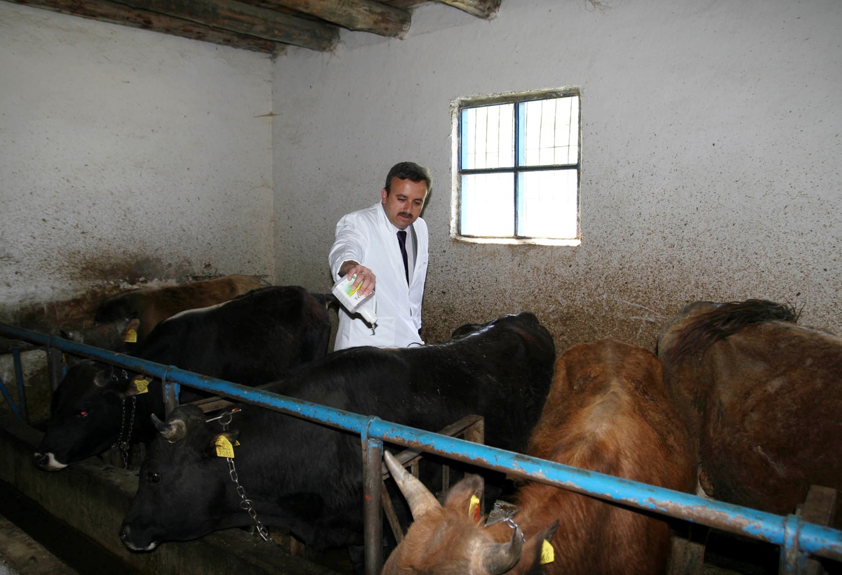 Gümüşhane'de Kene Seferberliği