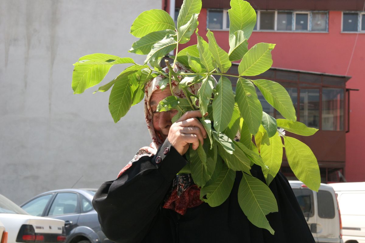 Güneşe İlginç Tedbir