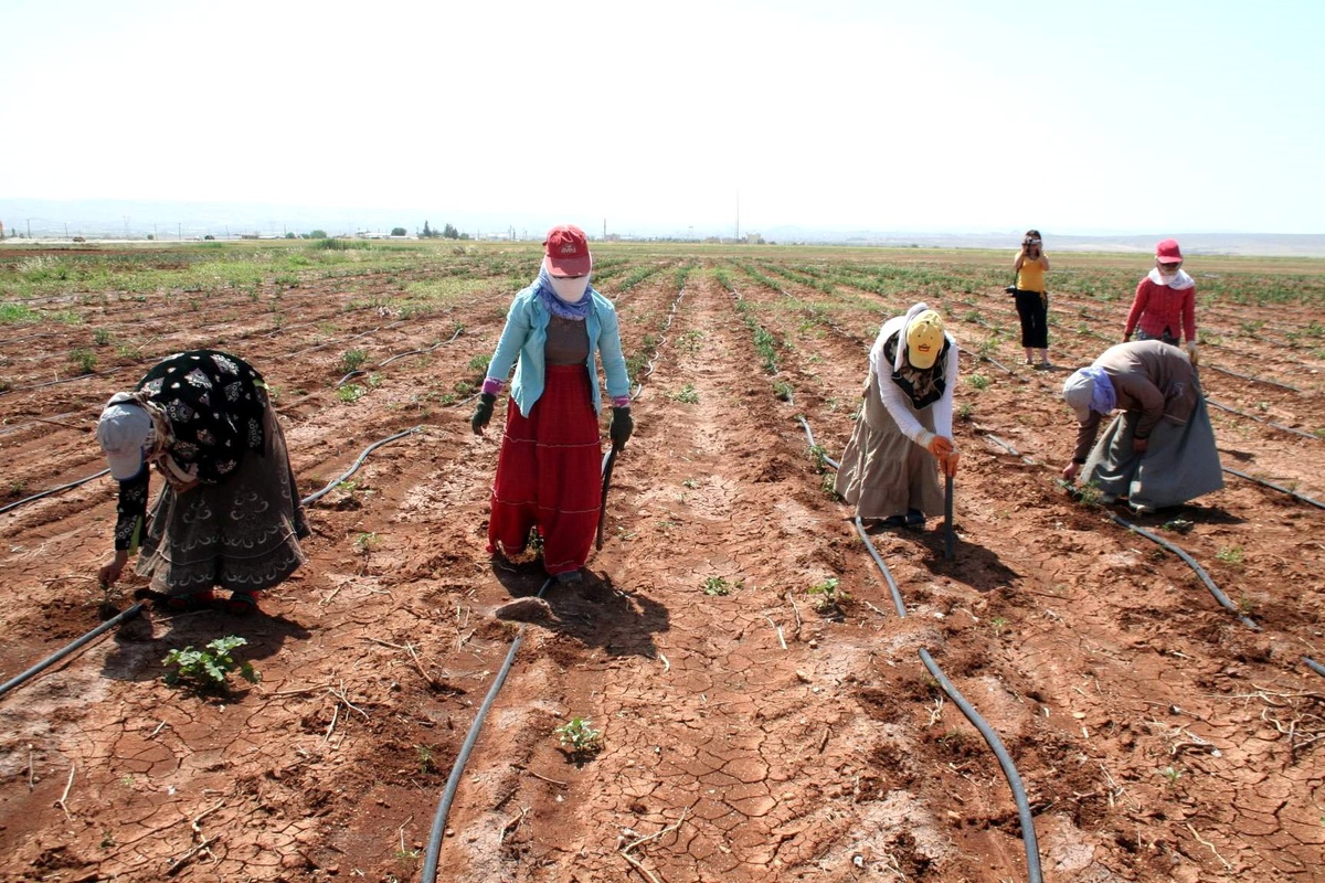 Şanlıurfa'da Mobil Sağlık Hizmetleri Devam Ediyor