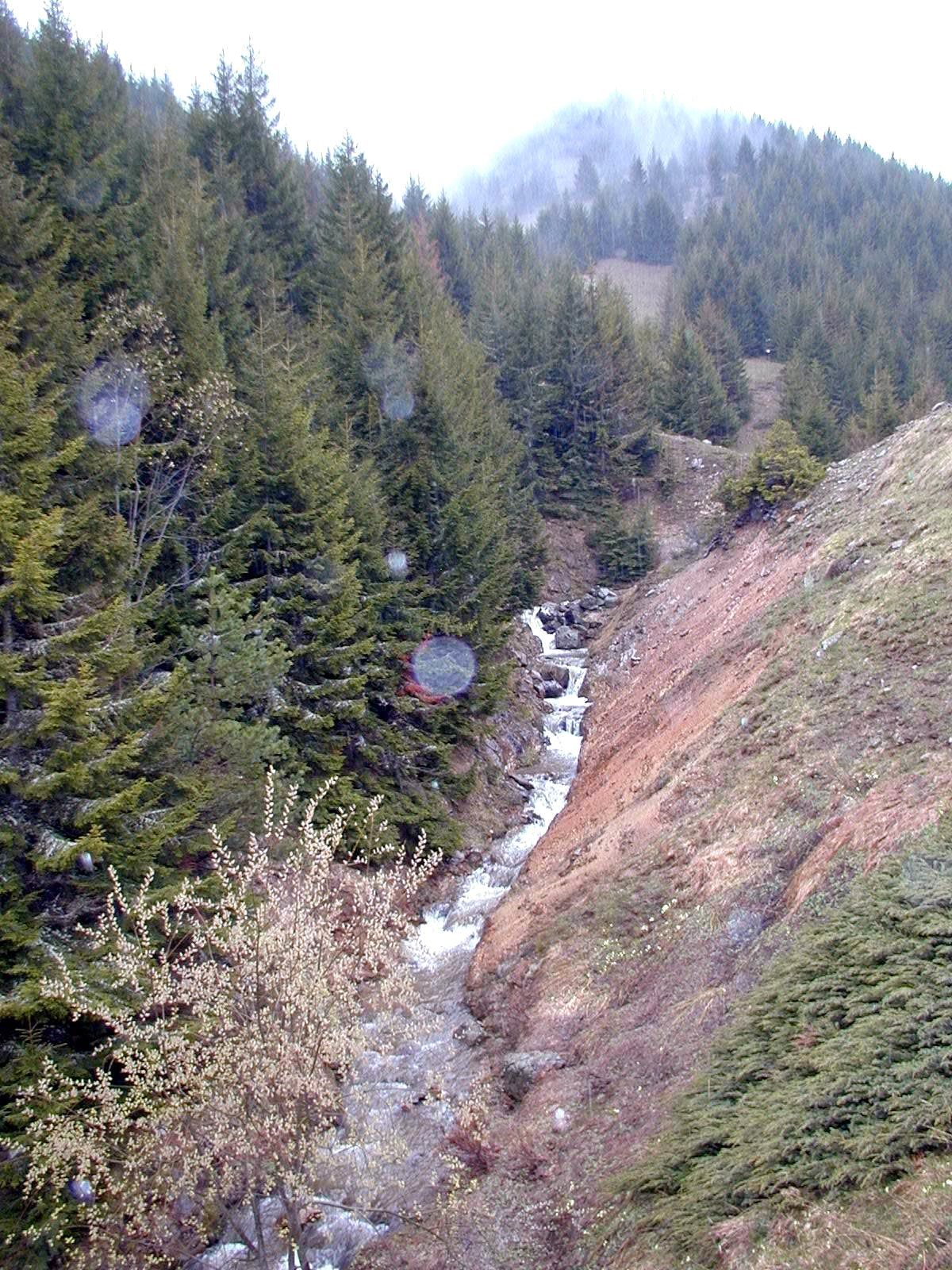 Horlak Projesi Sahipsiz Kaldı