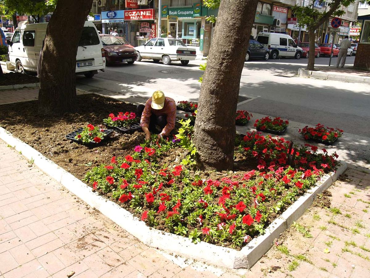 Yalova'ya 200 Bin Çiçek Ekilecek