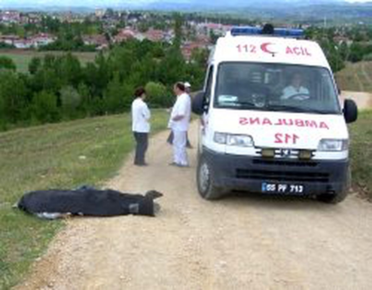 Yolda Ölü Olarak Bulundu