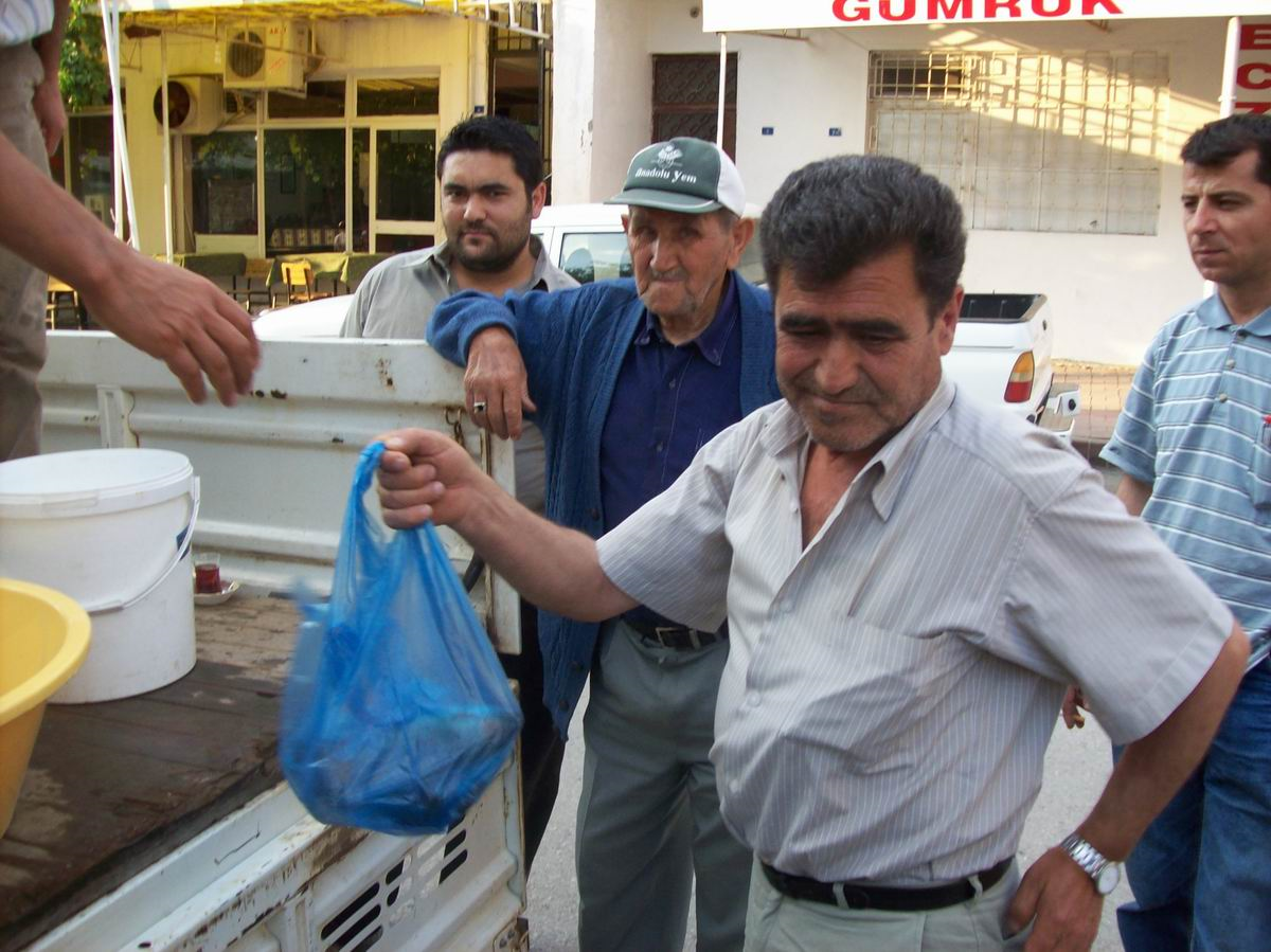 Canlı Alabalıklar Kapışılıyor
