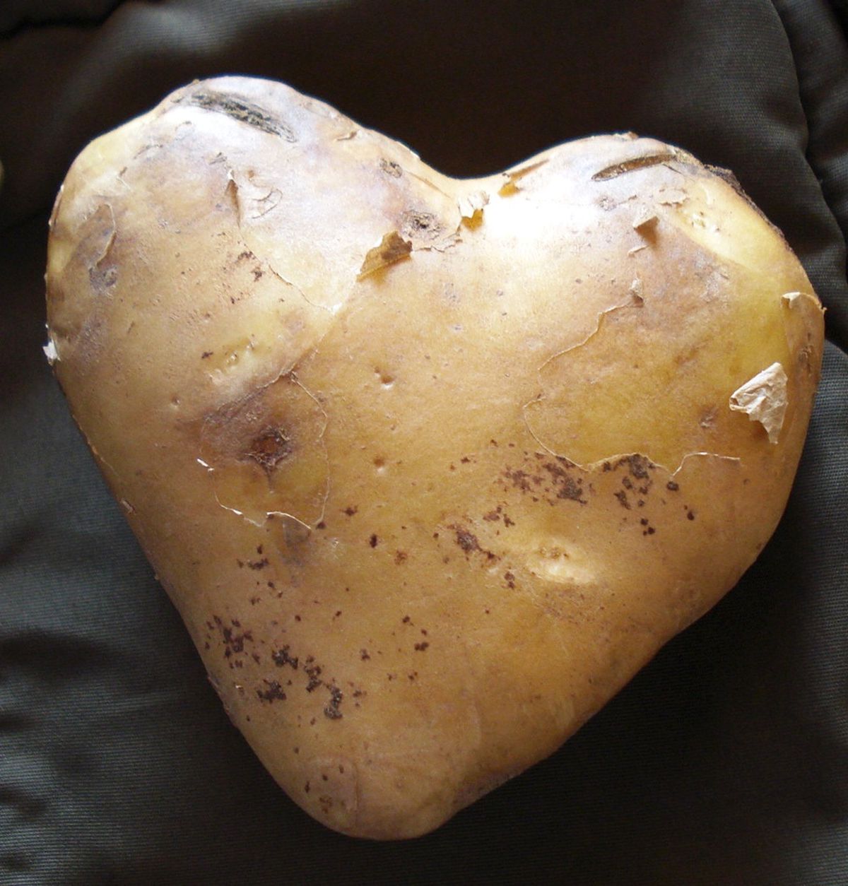 Kalp Şeklindeki Patates İlgi Odağı Oldu