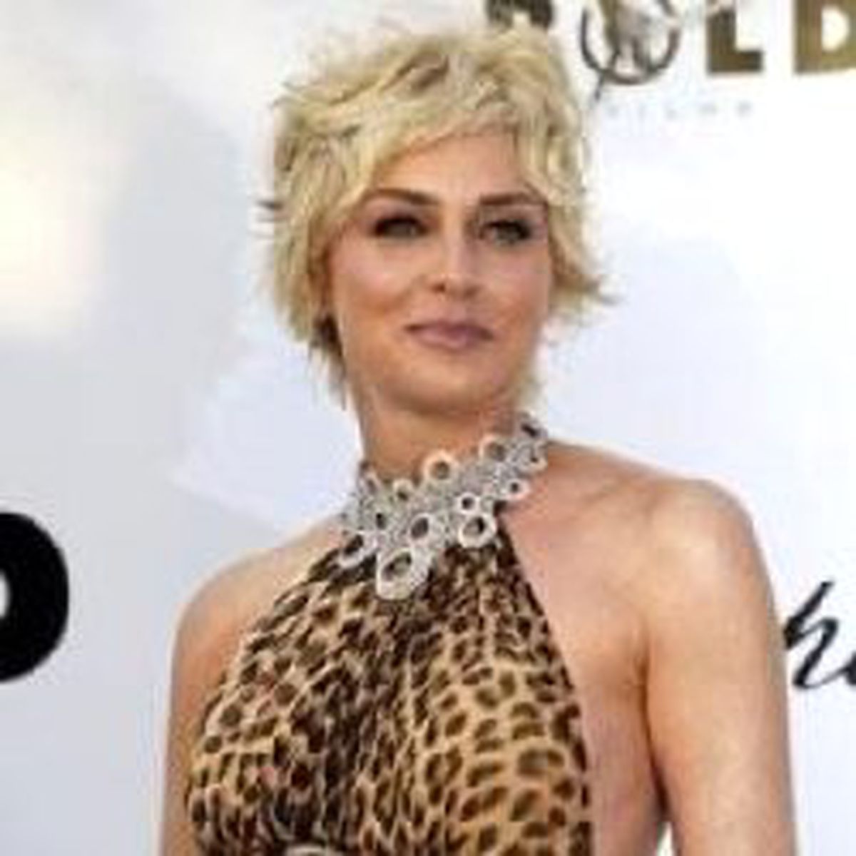 Sharon Stone Çin'den Özür Diledi