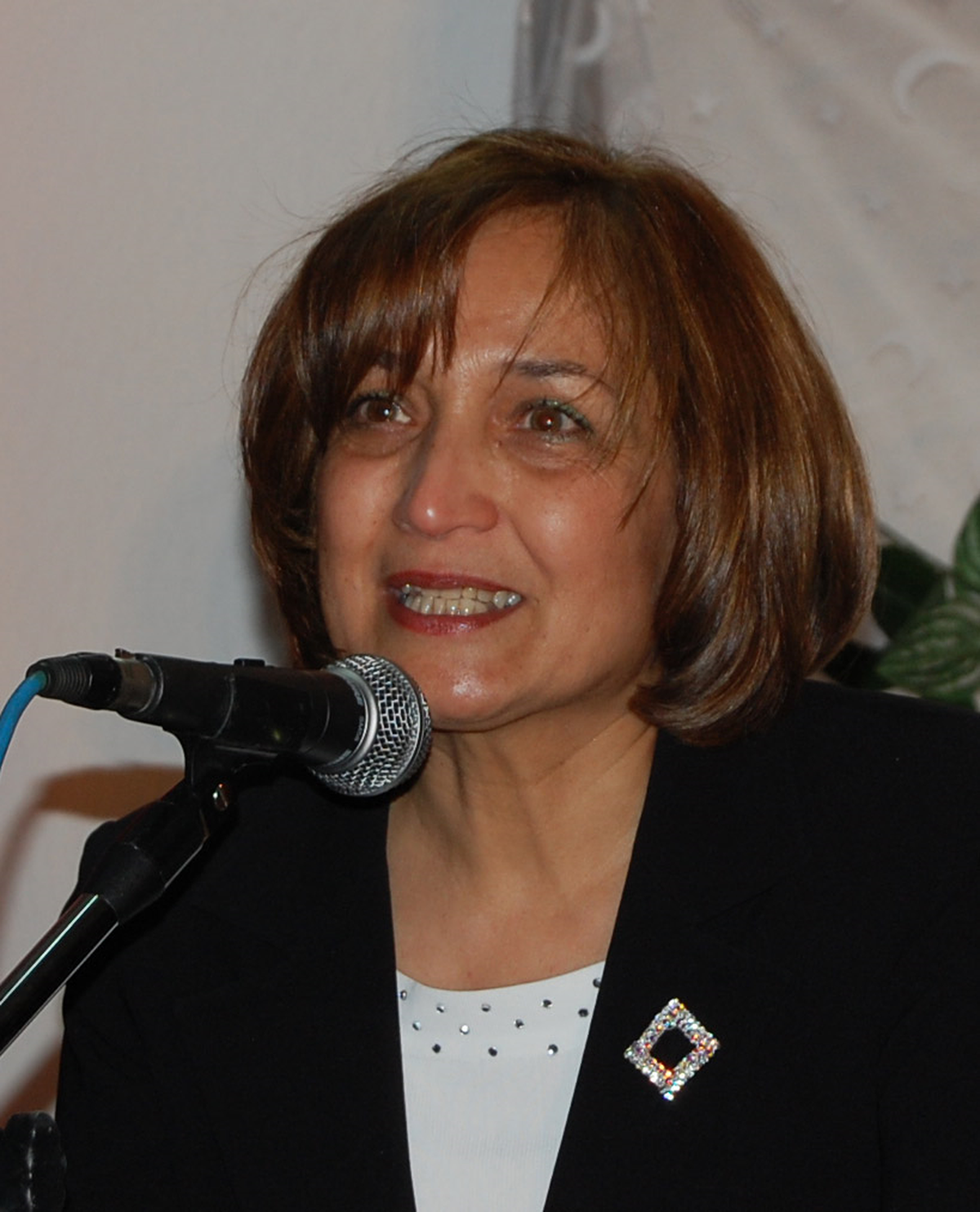 Simav Şiir Şöleni