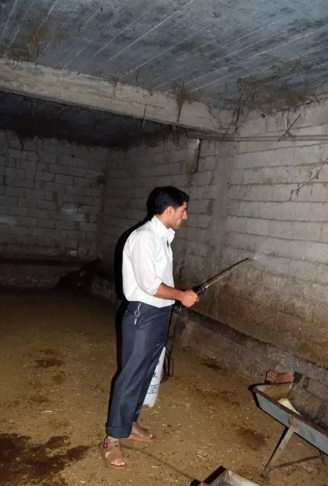 Batman’da Görülen Yılanlar Vatandaşlara Korku Dolu Anlar Yaşattı Son