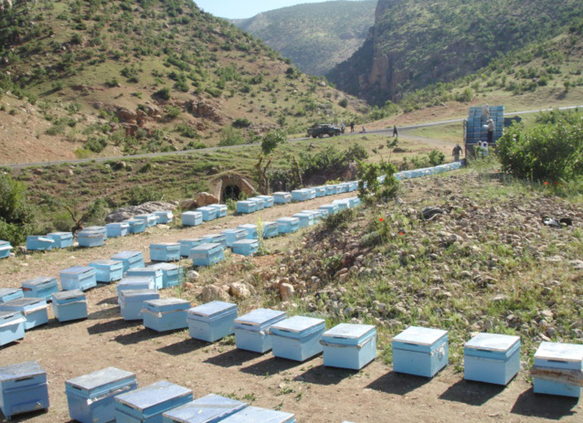 Eruh'ta Arıcılık Canlanıyor