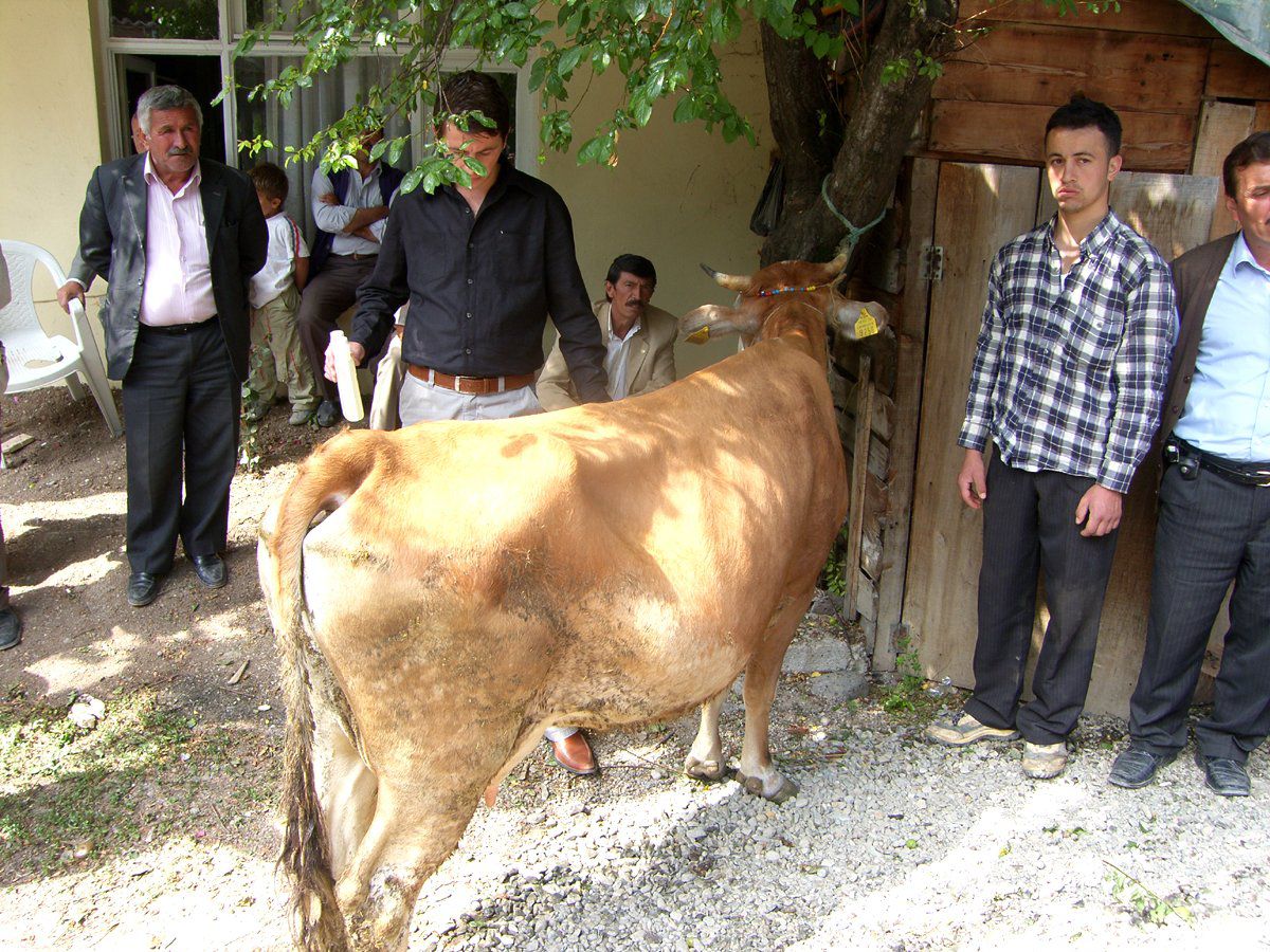 Köy Muhtarlarına Kene İlacı Dağıtıldı