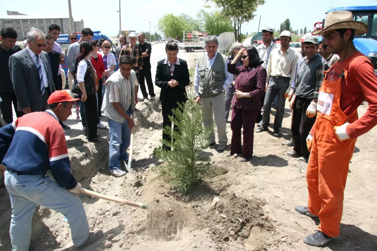 Çydd Tarafından Eski Van Yyü Rektörü Anısına Hatıra Ormanı