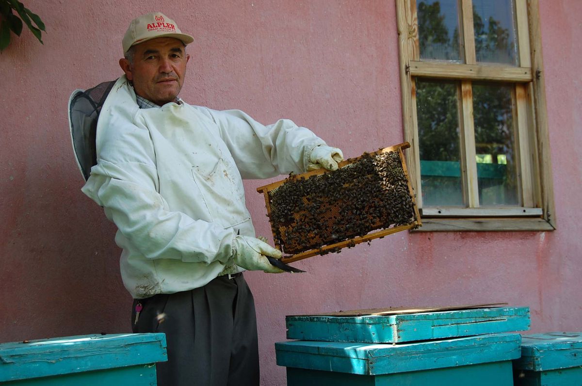 Simavlı Arıcılar 2008'den Umutlu