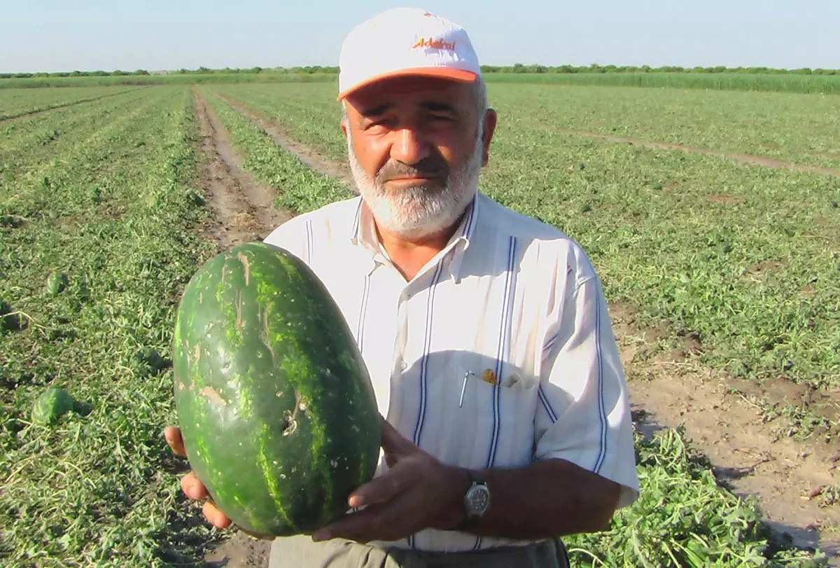 Adana Karpuzuna Avrupa Kupası Dopingi