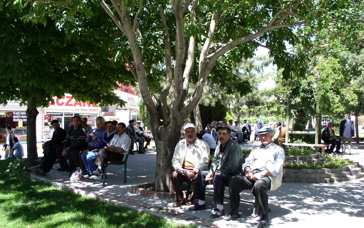 Çorum'da Kene Paniği Sürüyor