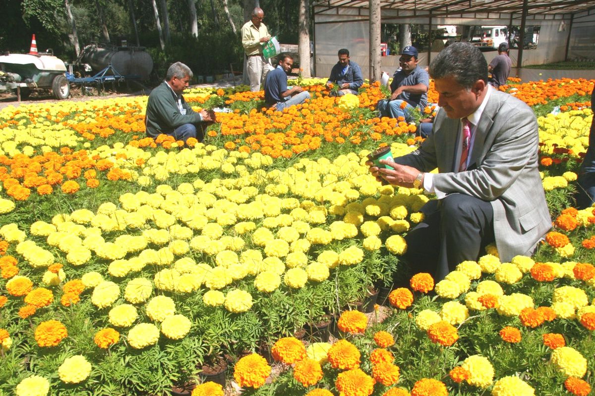 Dünya Çevre Günü