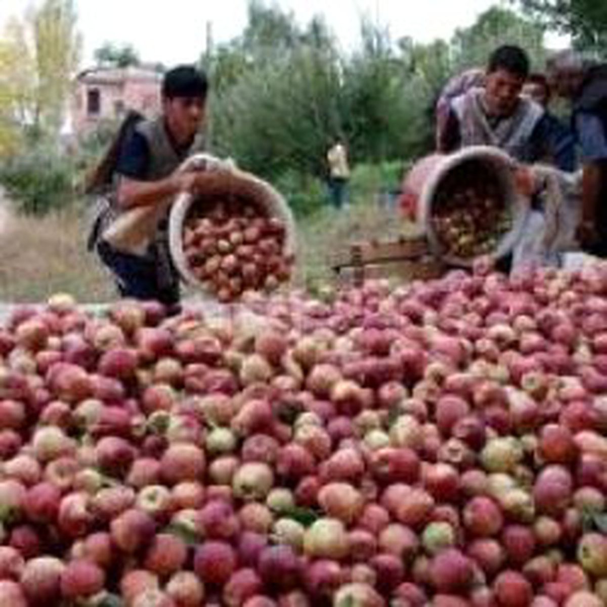 Enflasyon Hedefi Yükseldi