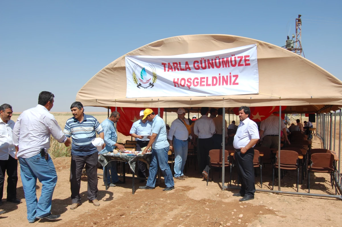 Şanlıurfa\'da Tarla Günü Düzenlendi