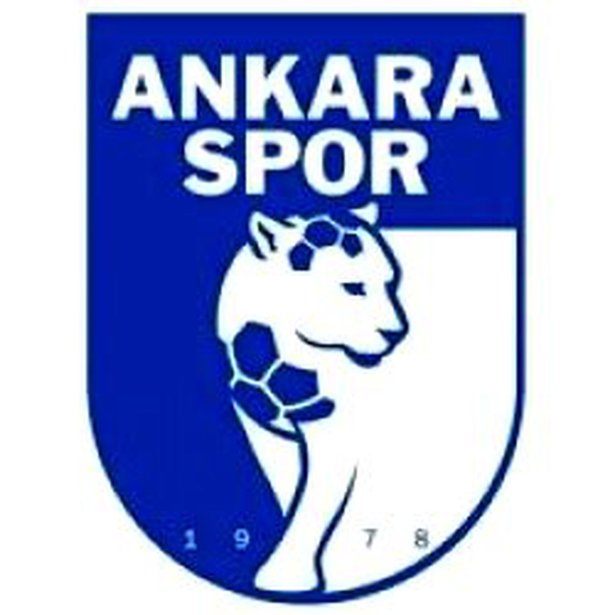 Ankaraspor Revizyona Başladı