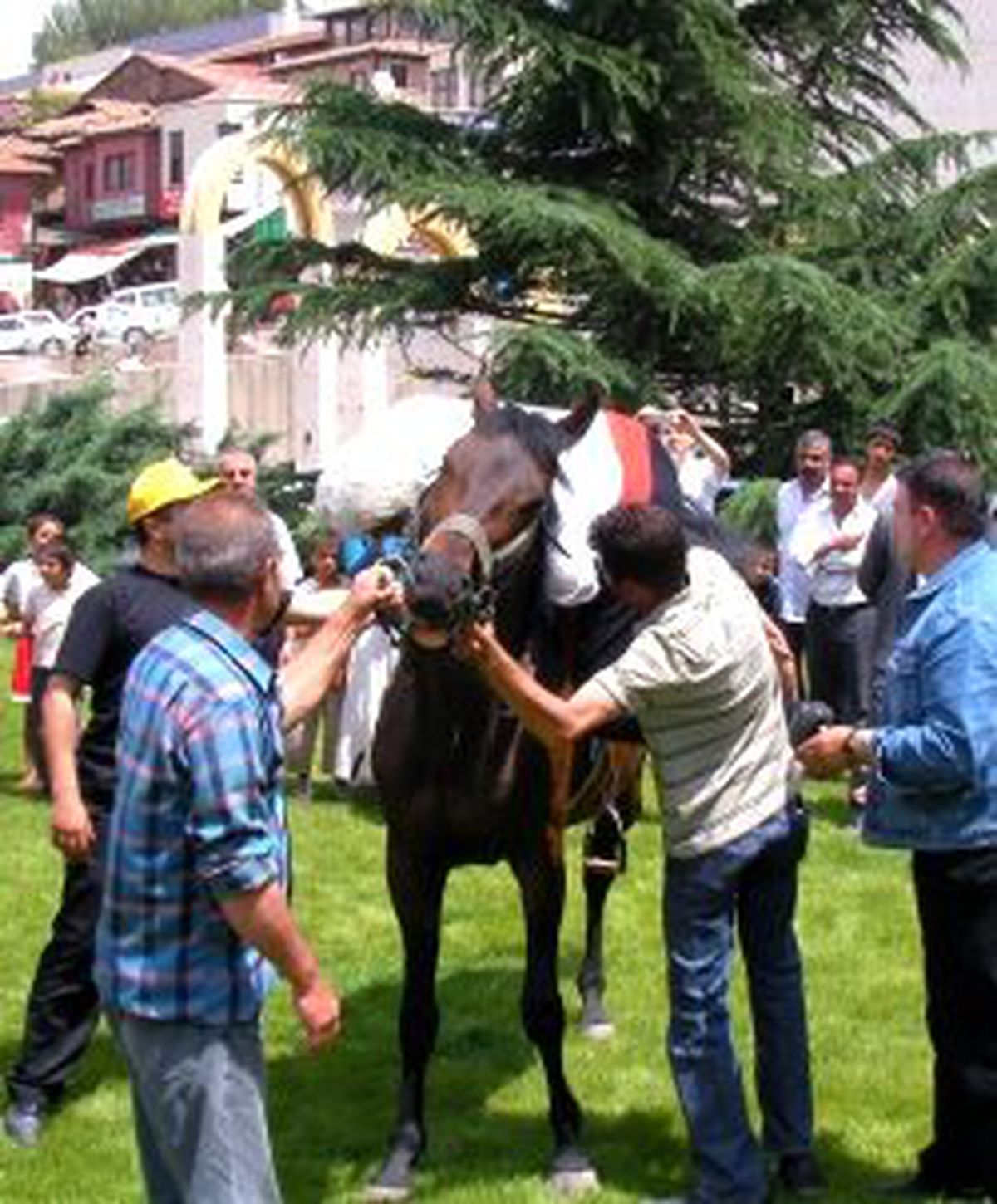 Malkoçoğlu Attan Düştü