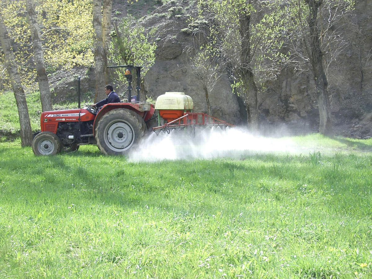 Tarım İl Müdürüğü Ekipleri, Çekirge Mücadelesini Tamamladı