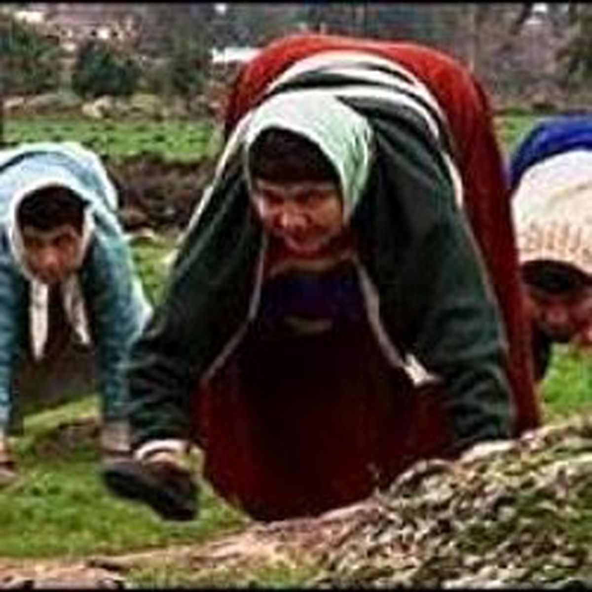 Neden Bu Şekilde Yürüyorlar