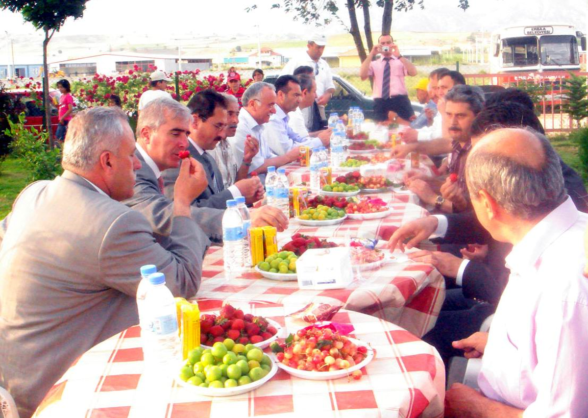 Erbaa\'da Çevre Günü Kutlaması