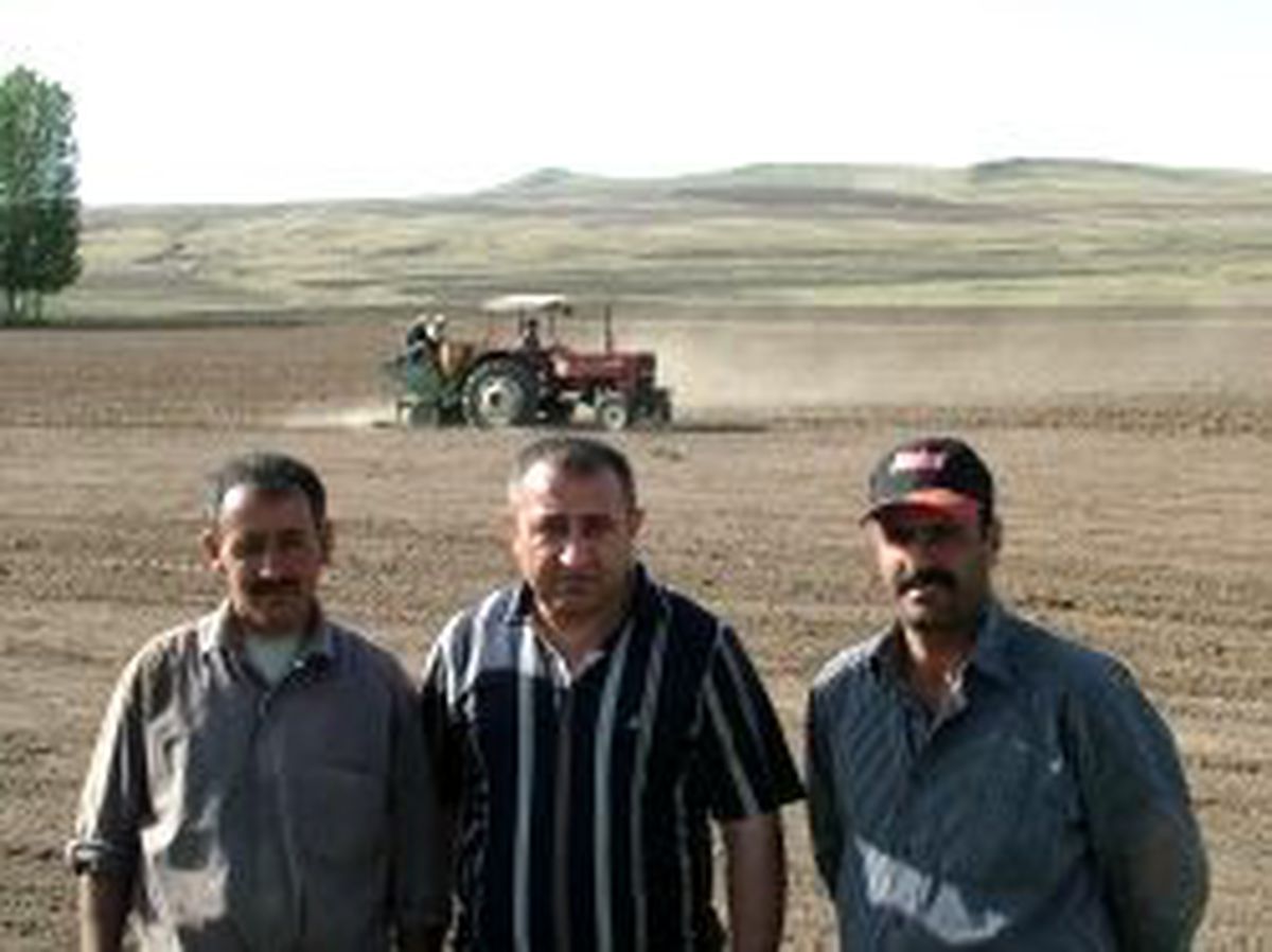 Ahlat'ta 17 Bin Dekar Alan Patates Tohumu ile Buluştu