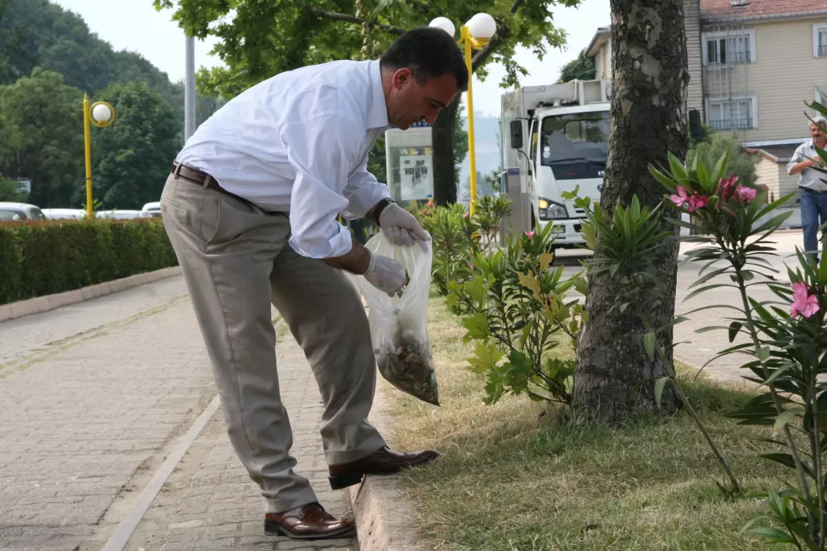 Başkan Murat Sesli Çöp Topladı