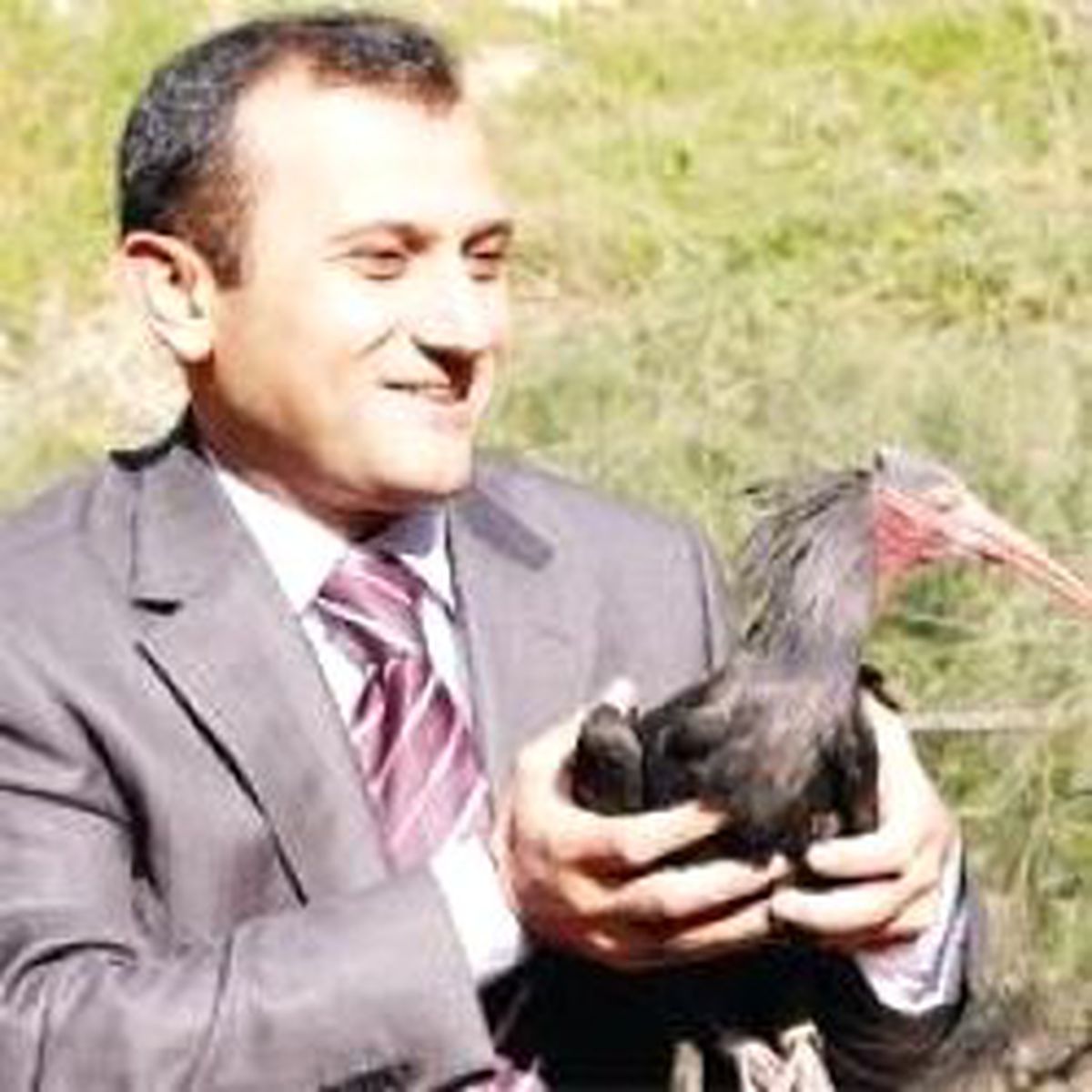 Kelaynakların Sayısı Arttı