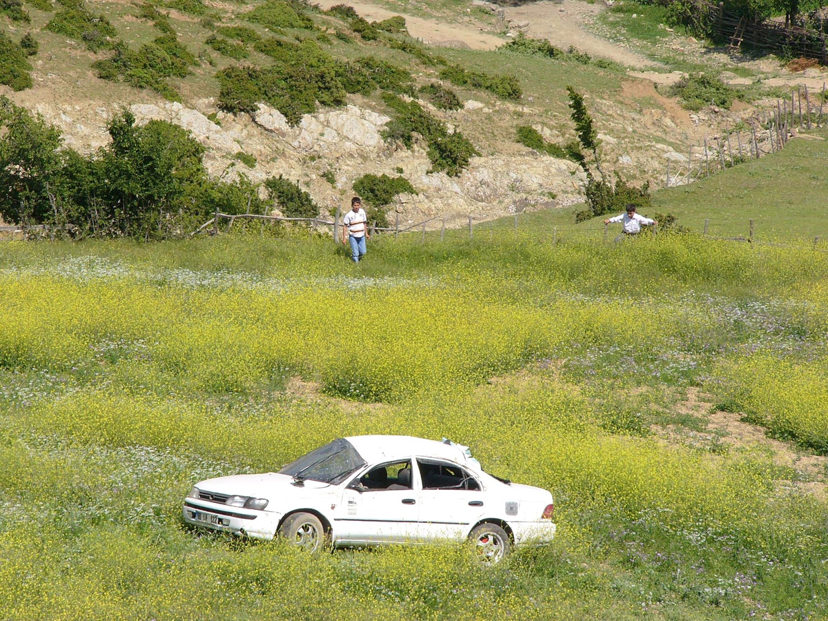 Otomobil Şarampole Yuvarlandı: 5 Yaralı