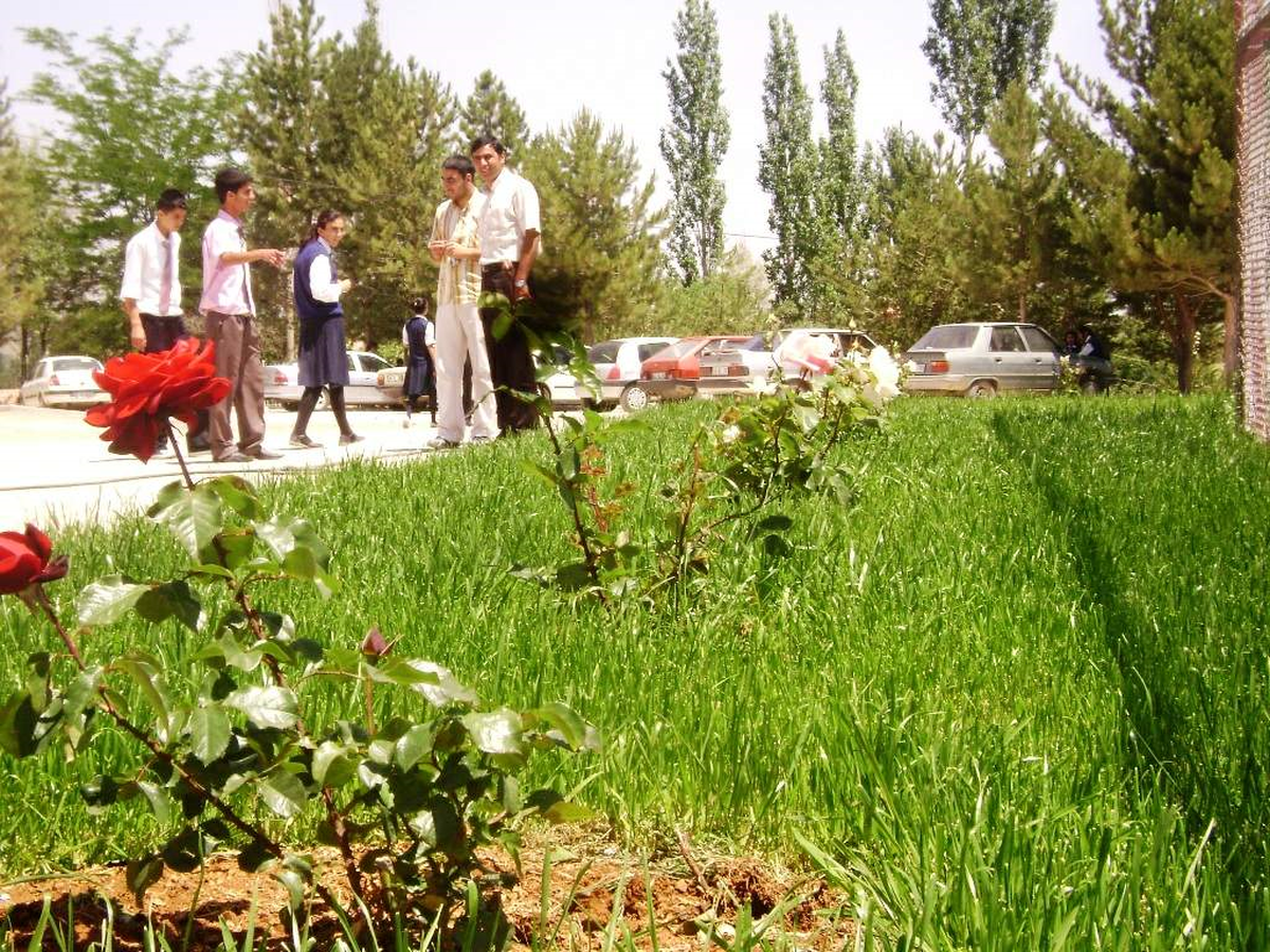 Doğanşehir Lisesi Çevre Ekibinden Çevreye Önem