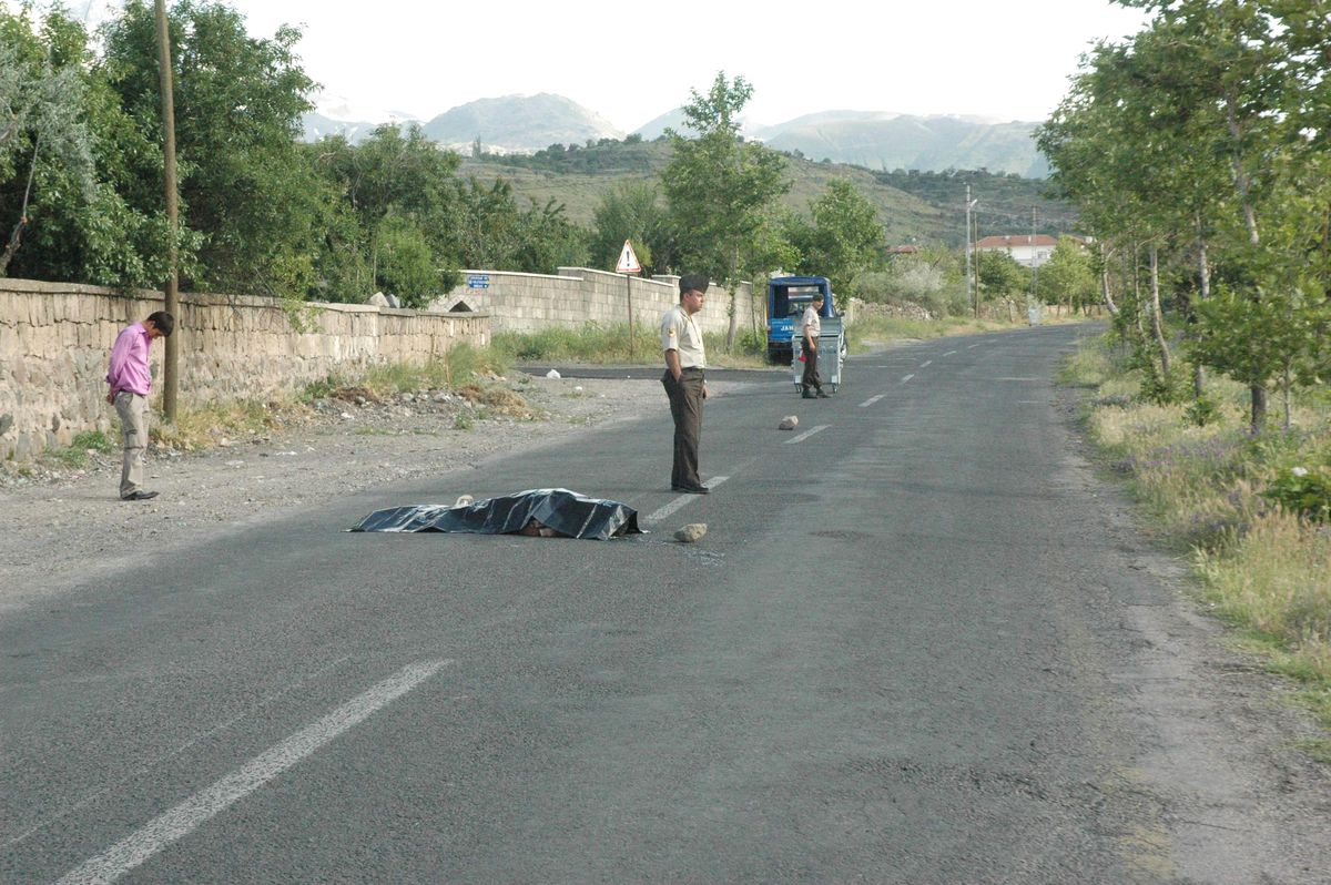 Ölüm Yolda Yakaladı