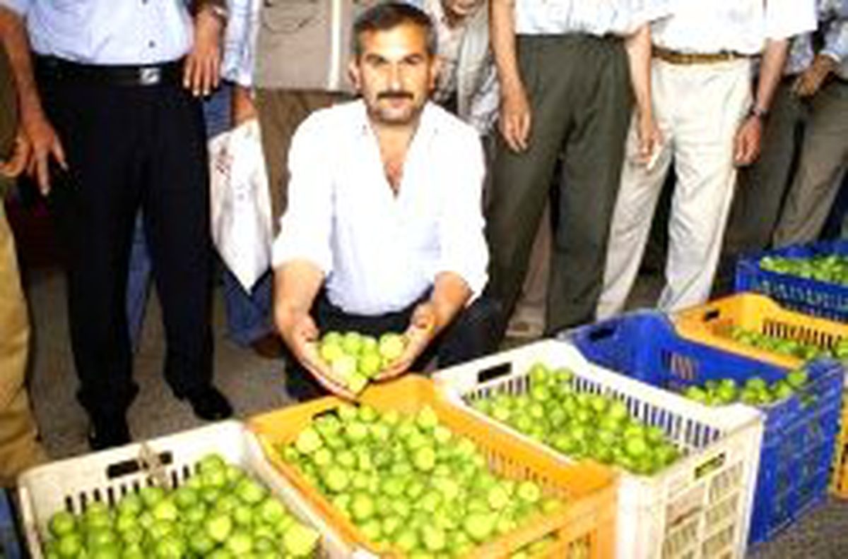İlek Karaborsada