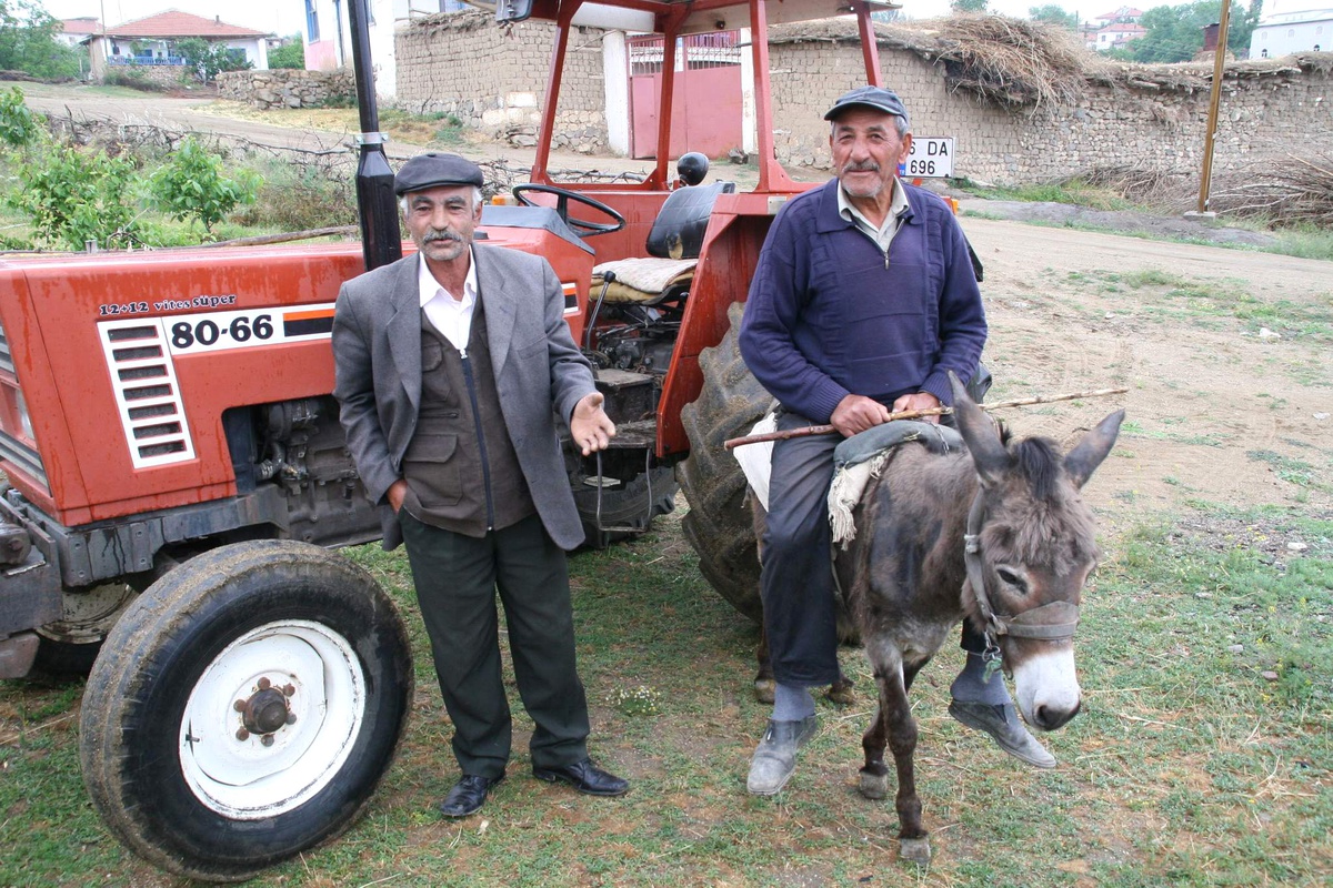 Mazot Fiyatları Yükseldi, Eşek Kıymete Bindi