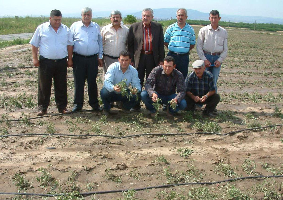 Karacabey Çiftçisine Dolu Şoku
