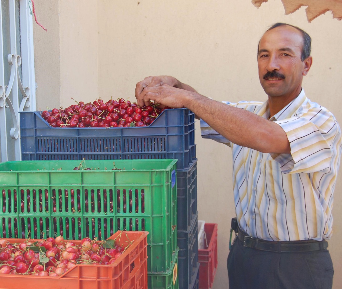 Simav'da Kiraz'ın Fiyatı da, Rekoltesi de Üreticiyi Sevindirmedi