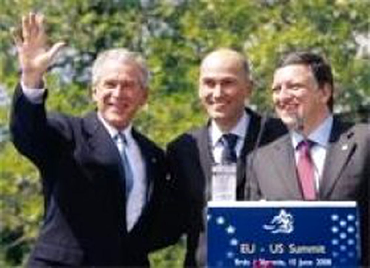 Bush Destek Verdi