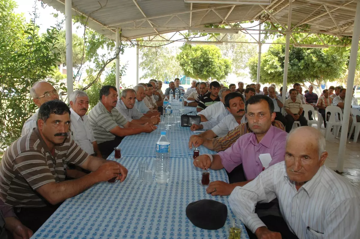 Alsubir'e Yeni Başkan