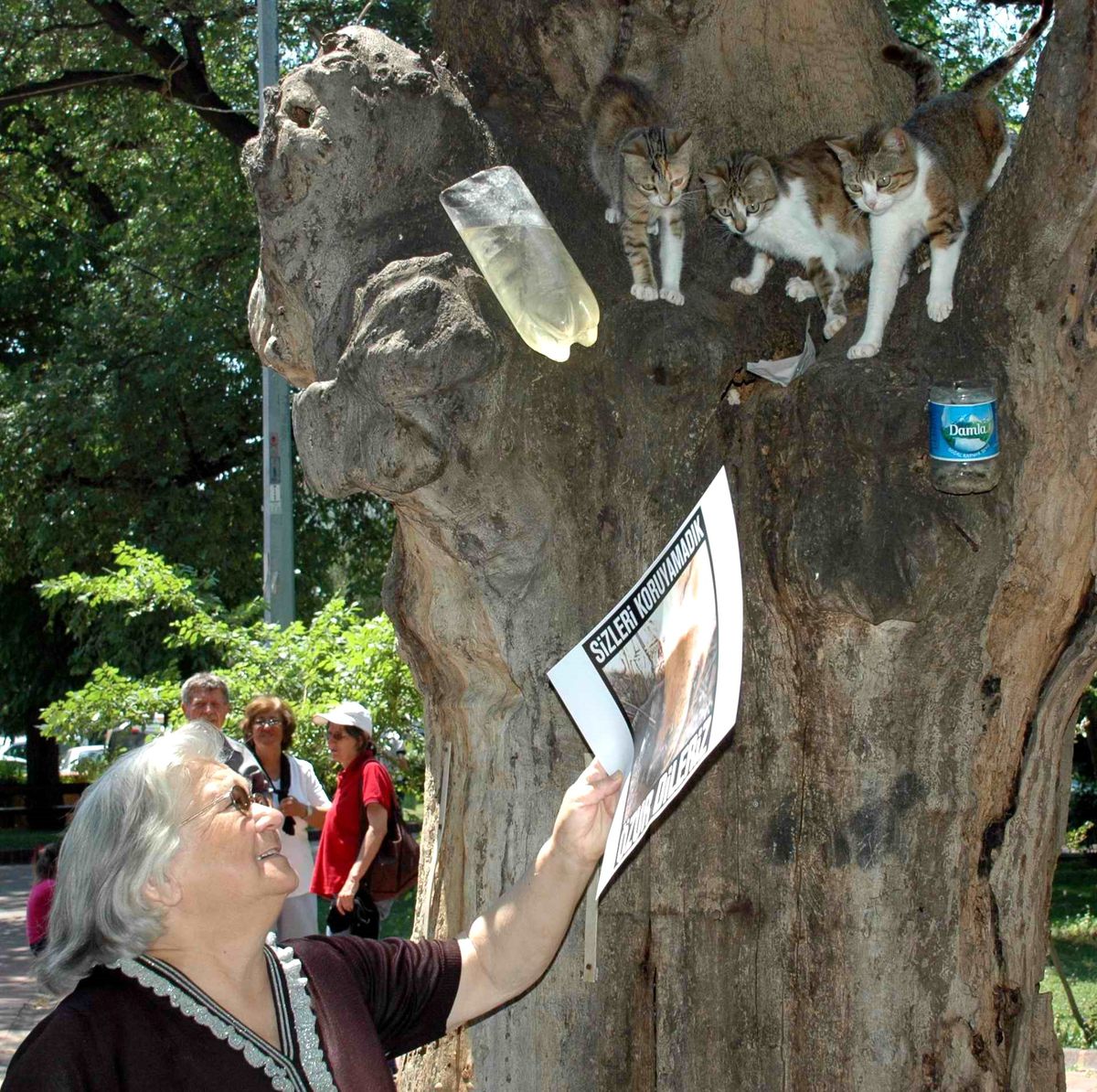 Çanakkaleli Hayvanseverlerden Antalya'daki Köpek Katliamına Tepki Gösterisi