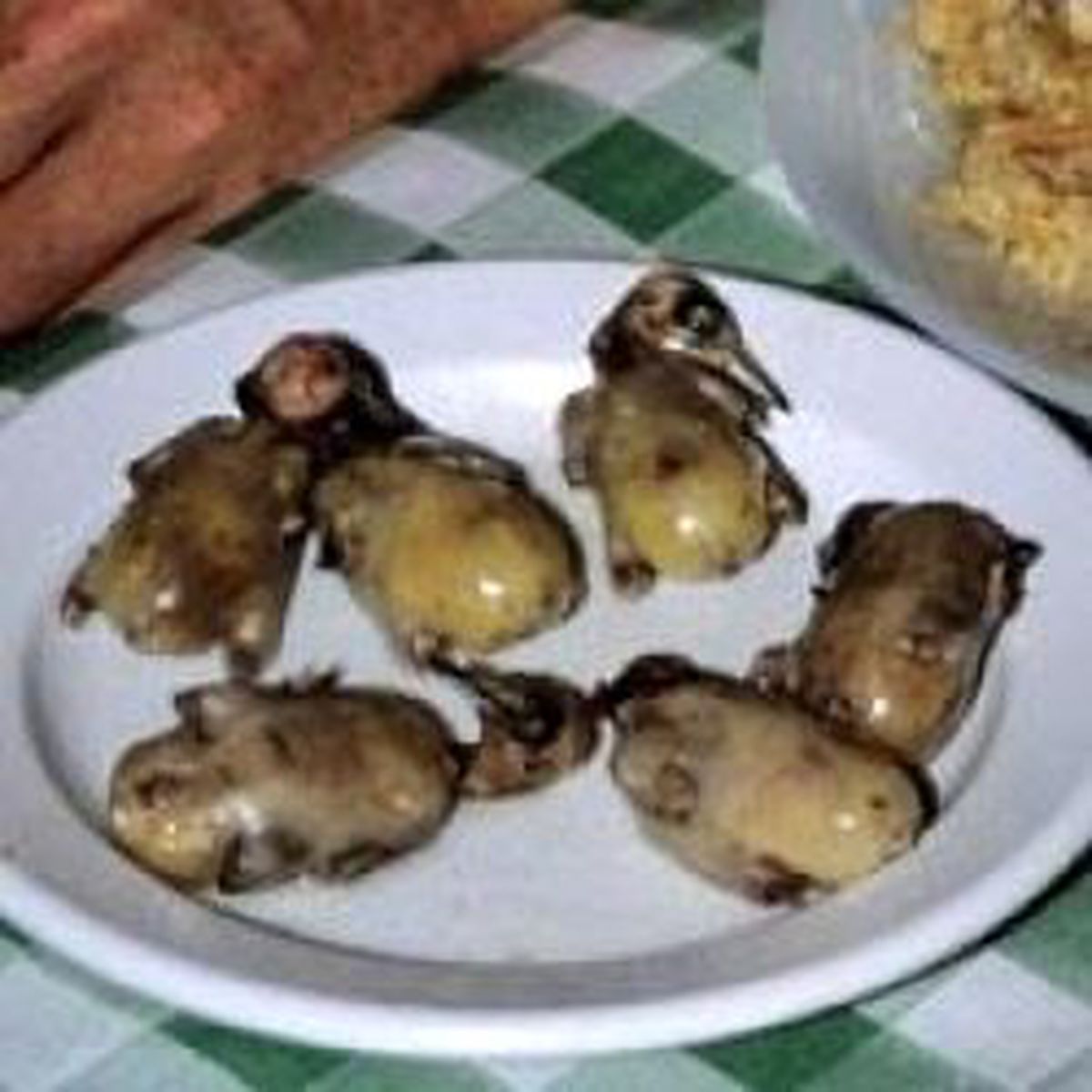 Tabaktaki Meze Kuşlar