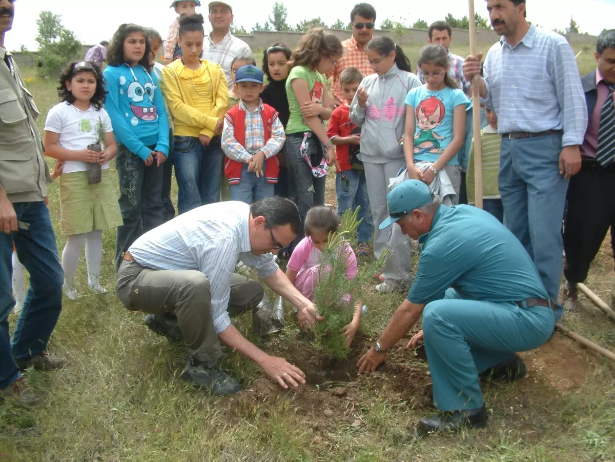 Yozgat\'ta Uçurtma Şenliği