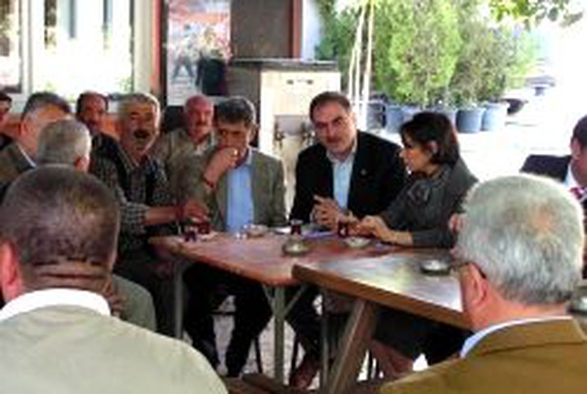 Bayan Vekil, Köylülere Seracılığı Anlattı