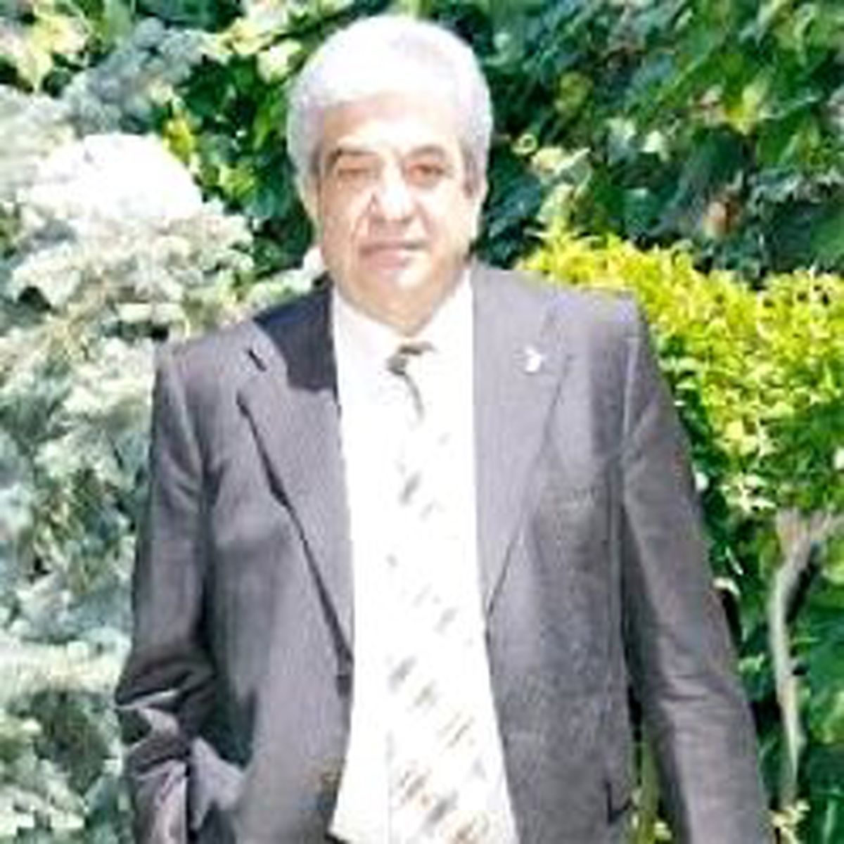 Demirören Gibisi Yok