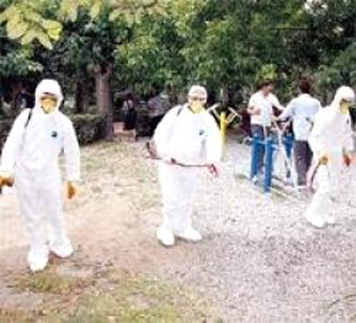 Böcek İlacı Değil Av Yasağı Bitirir