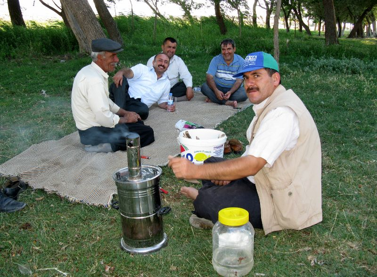Arabanlılar Piknik Alanı İstiyor