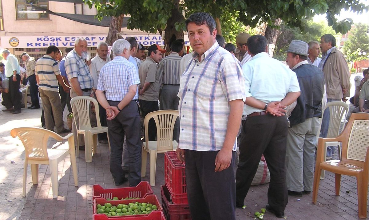 Aydın'da İlek Sıkıntısı Devam Ediyor