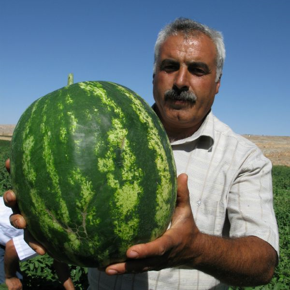 Araban'da Tarla Günü Düzenlendi