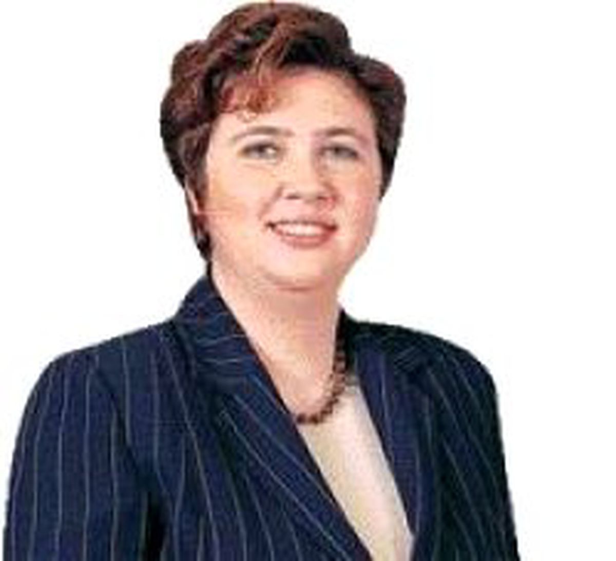 Bakan İstedi, Çelebi Erzincan'a Havacılık Yüksekokulu Kuruyor