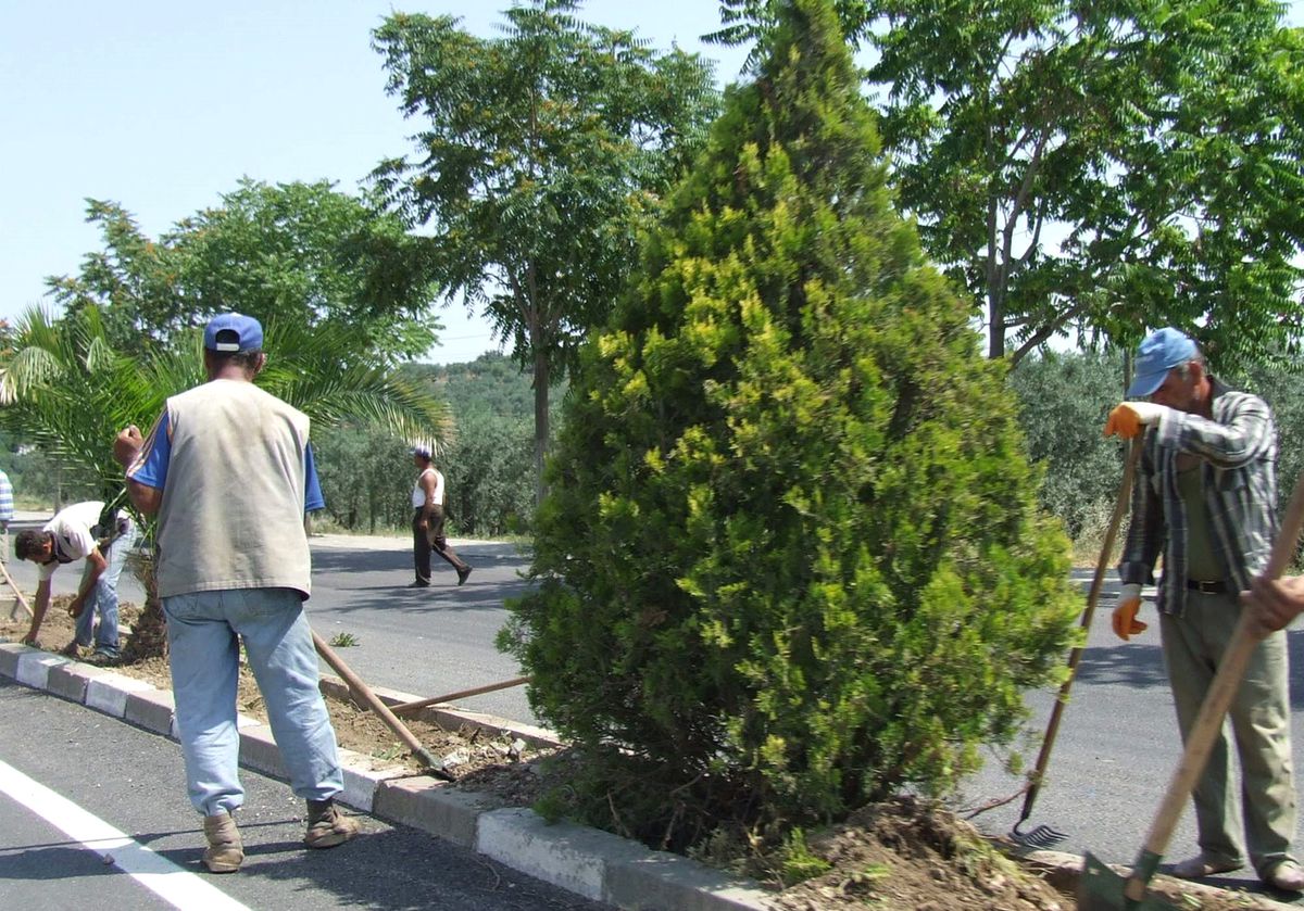 Erdek'te Ağaçlandırma Çalışması