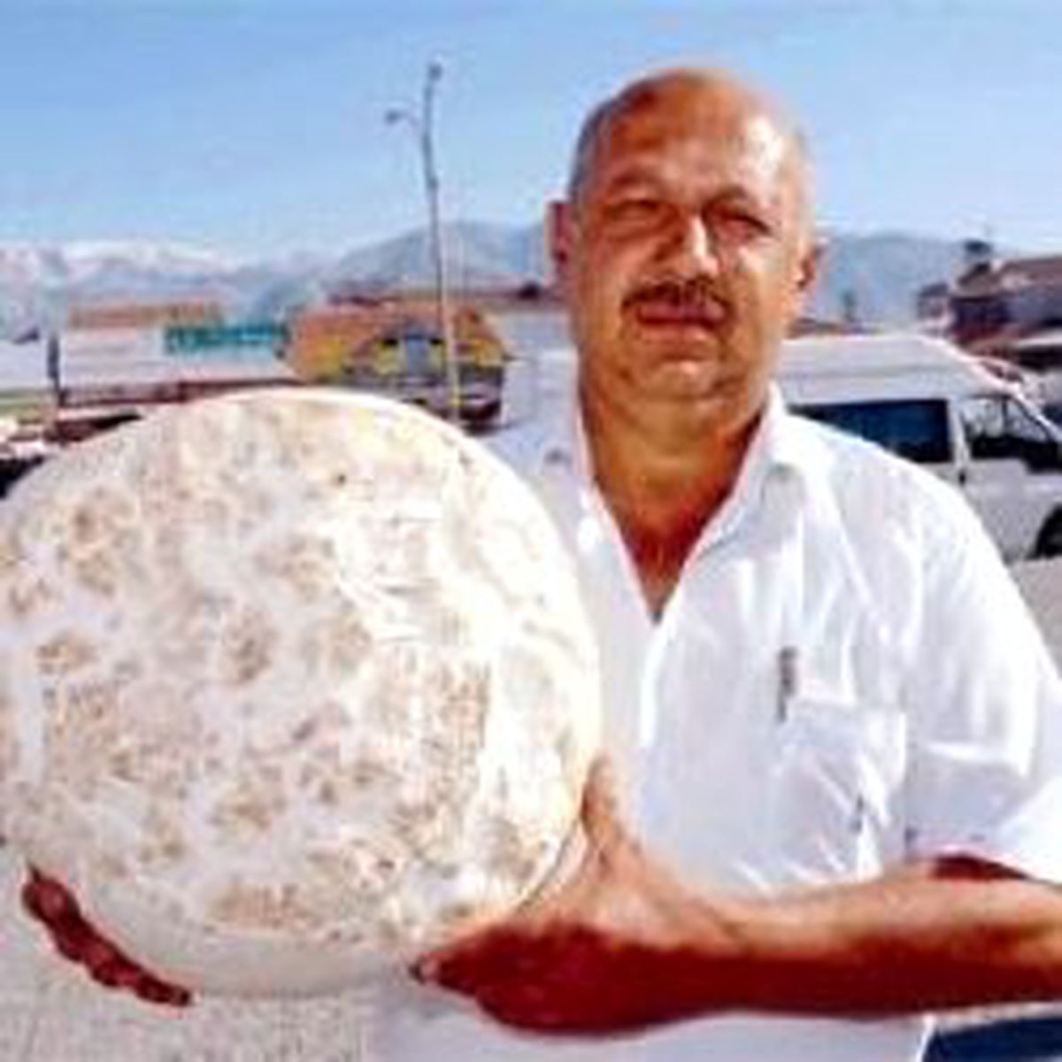 4 Kiloluk Mantar